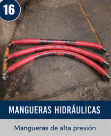 Taller 24